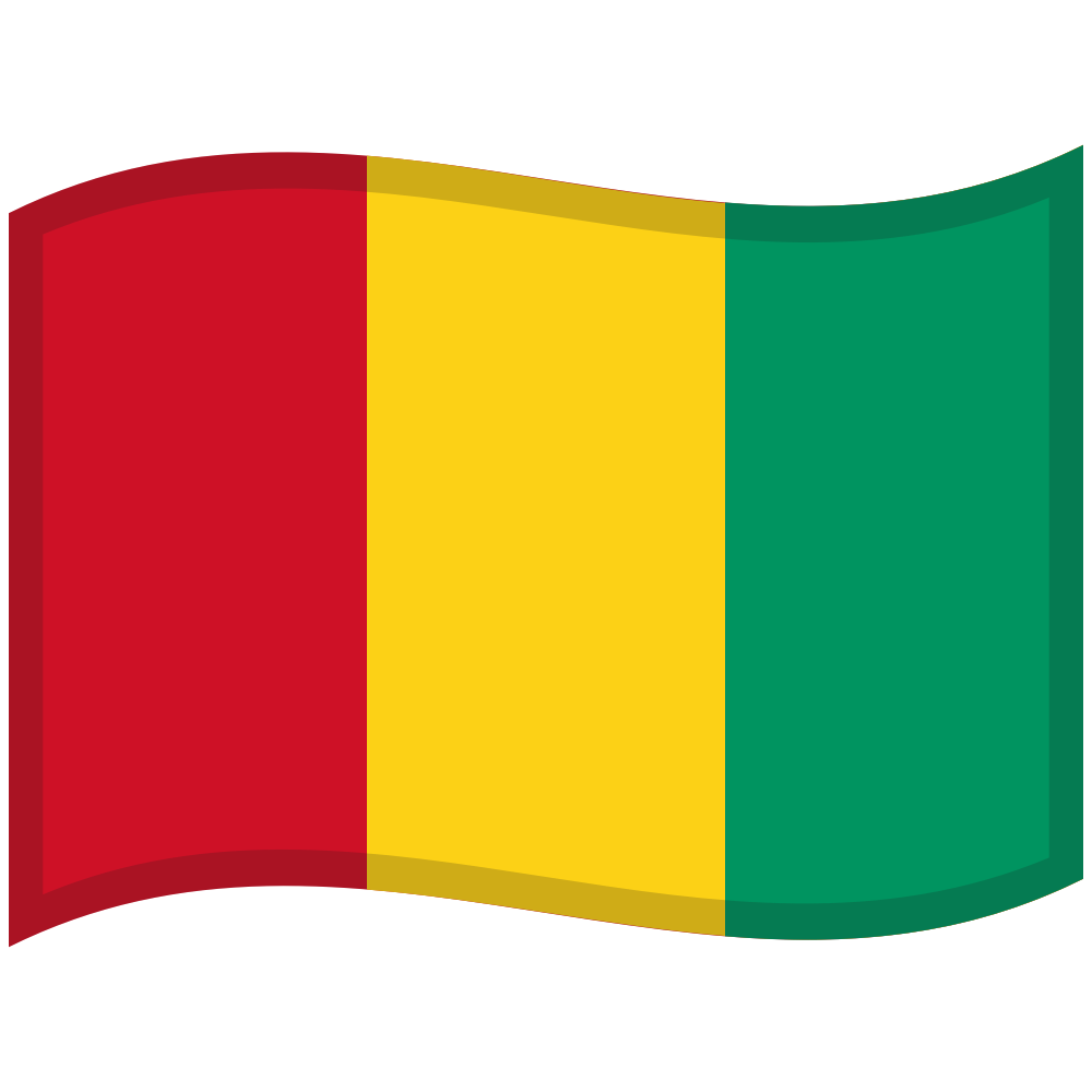 flag: Guinea