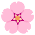 Kirschblüte