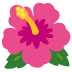 Hibiskus