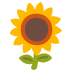 Sonnenblume