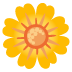 gelbe Blüte