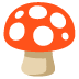 Fliegenpilz