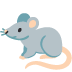 Ratte