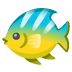 Tropenfisch