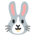 Hasengesicht