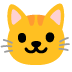 Katzengesicht
