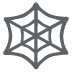 Spinnennetz