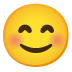 lächelndes Gesicht mit lachenden Augen