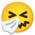niesendes Gesicht