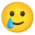 lachendes Gesicht mit Träne
