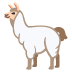 Lama
