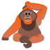 Orang-Utan