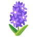 Hyazinthe