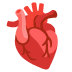 Herz (Organ)